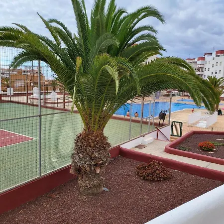 Palmeras Del Sur